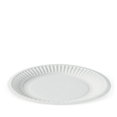 9” Paper Plate